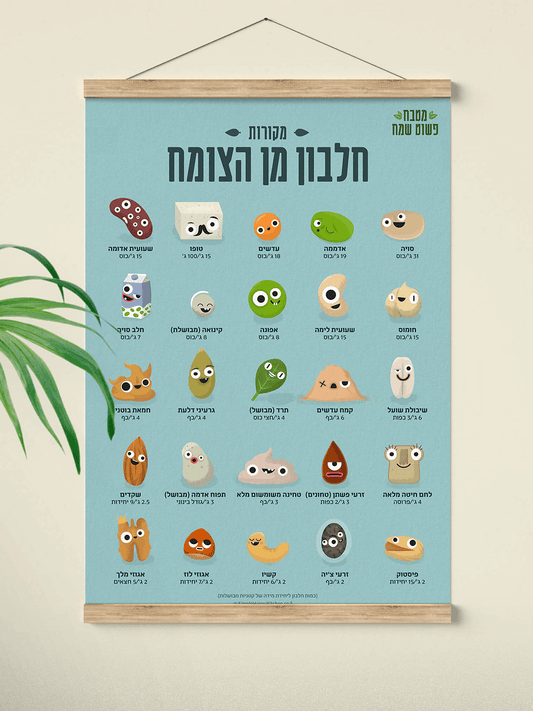 פוסטר - מקורות חלבון מן הצומח