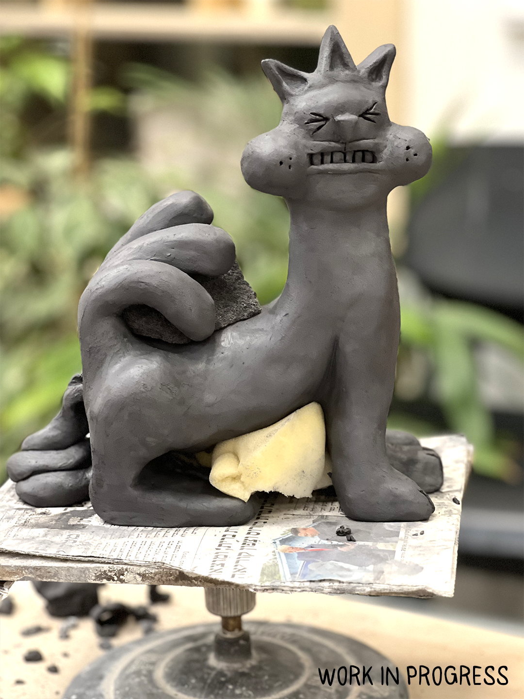 פאזי - חתול שחור תלת-פאזי