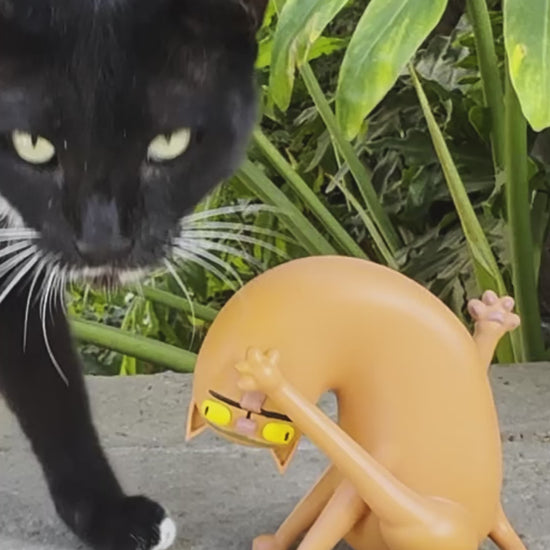 ליקריץ החתול המתנקה - דמות תלת מימד