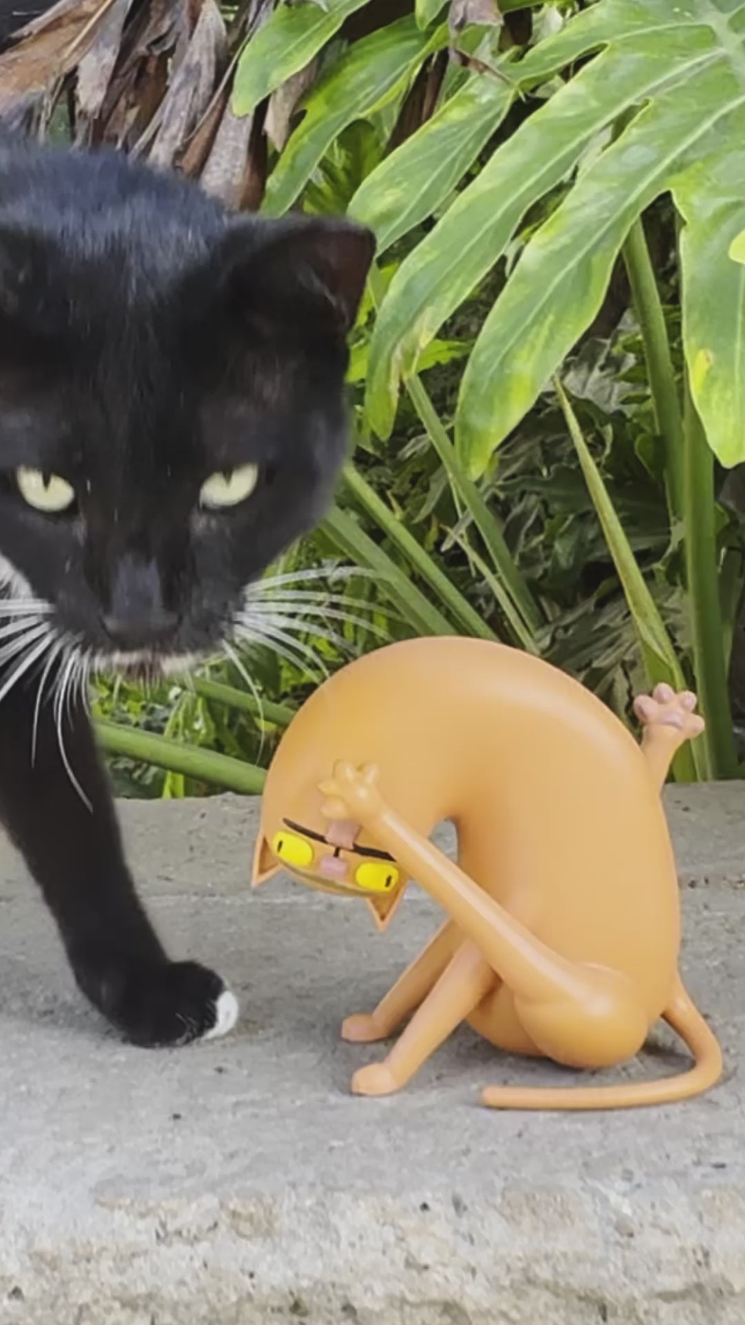 ליקריץ החתול המתנקה - דמות תלת מימד