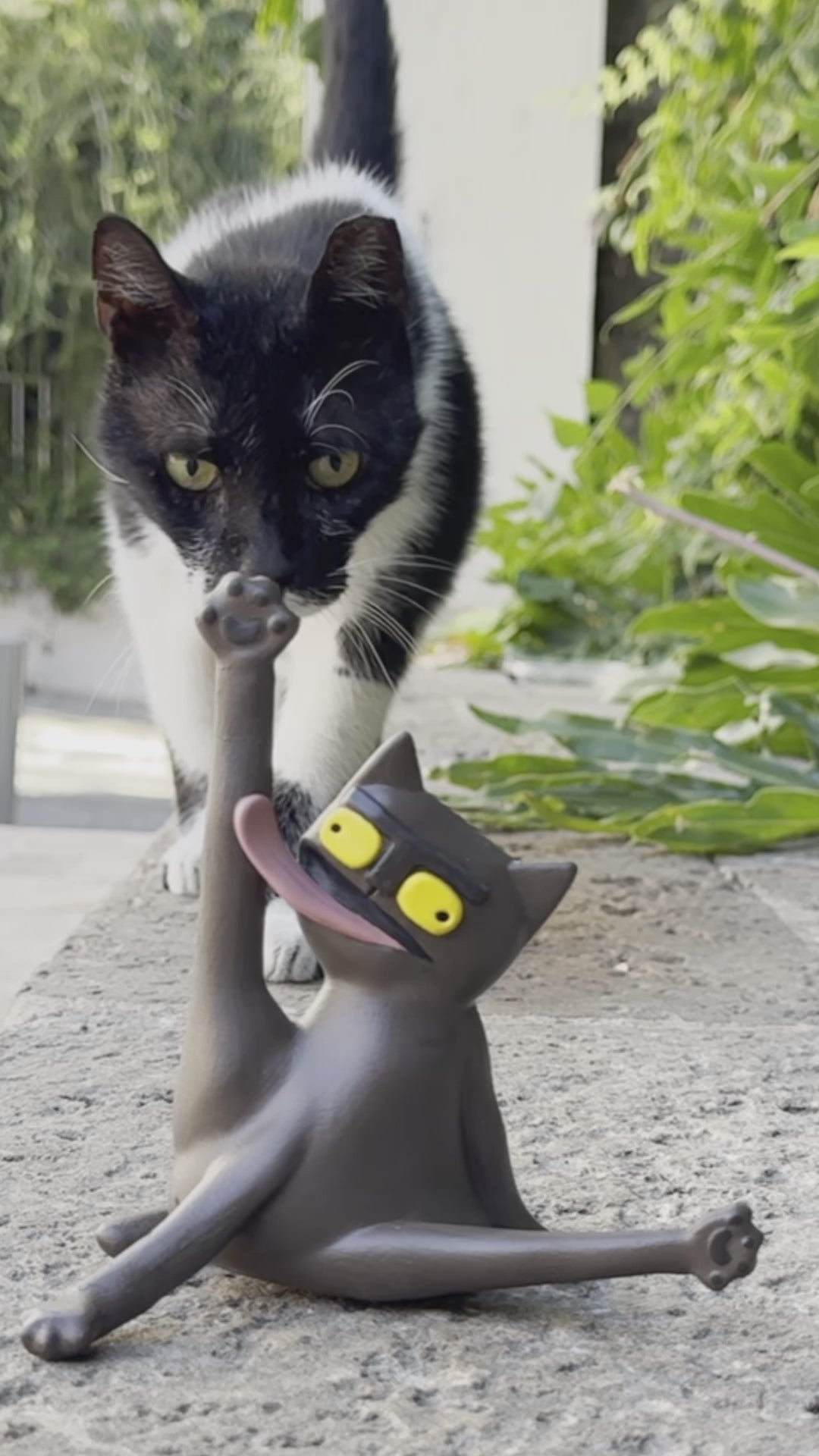 חתול מתלקק מתנקה עם חתול בנווה צדק